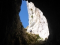 P1030378 (600x800)