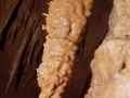 20190125_121702