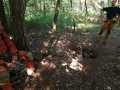 IMG-20200801-WA0001