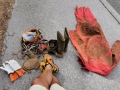 IMG_20200726_100323