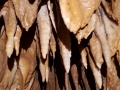 20190324_172708