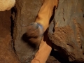 20190324_173005