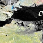 Interno del Pozzo \"Piccolo Borneo\"