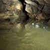 Grotta delle NInfe 565/2687 VG