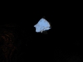 002_primo salto.JPG