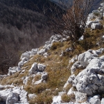 Calcari sul monte Ciastelat