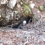 pp01-dscf1524_1200x900 pp01-dscf1524_1200x900