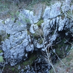 pp04-mughi-dsc00295_1200x900 pp04-mughi-dsc00295_1200x900