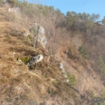 Buco soffiante sul monte Giajdeit