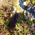 Buco soffiante sul monte Giajdeit