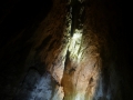 006_bus_de_la_lum_sala-lanterna
