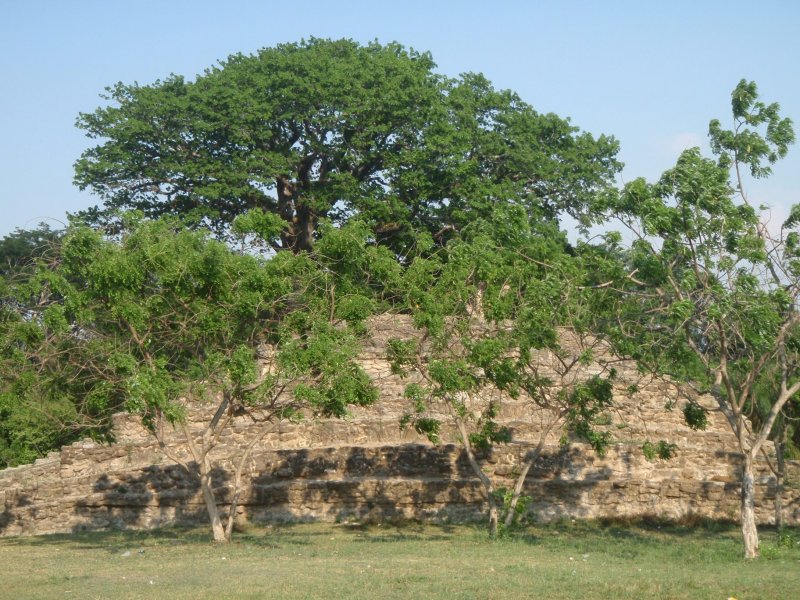 Sito Maya