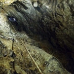 Pozzo V8
