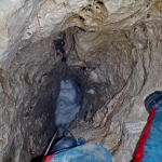 Pozzo V8
