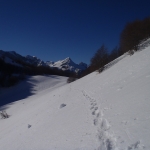 Ricognizione sul Cansiglio