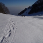 Ricognizione sul Cansiglio