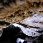 Grotta Clemente Grotta Clemente