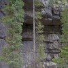 alberi
