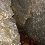384_resize