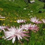 dscf1774_resize