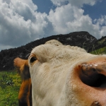 dscf1810_resize