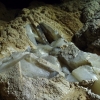 Caverna dei Cristalli -  741 FR