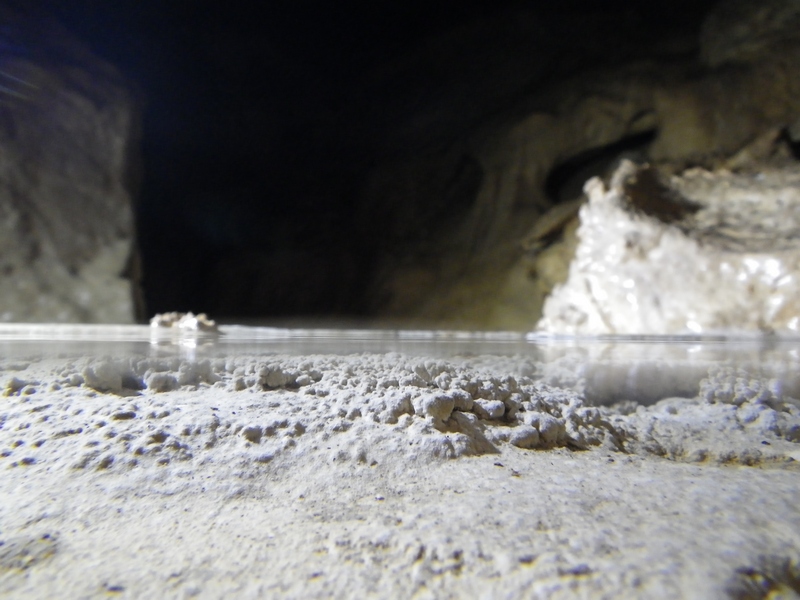 Grotta del Laminatoio - a-pelo-h2o