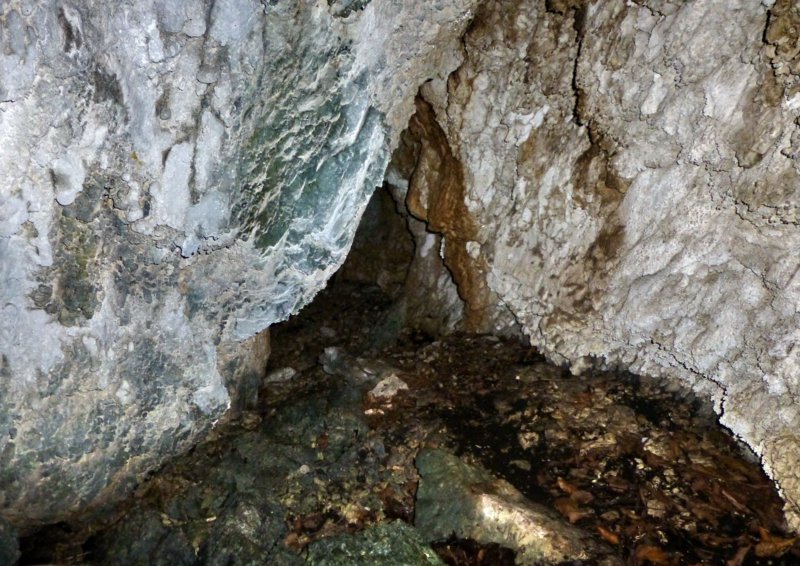 Grotta salamandra