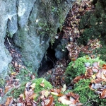 Grotta salamandra