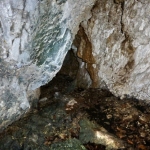Grotta salamandra