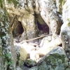 Grotta Velenizza