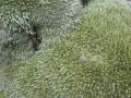 Esplorazione sul Collio
