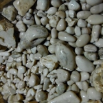 Loch Kosicy Loch Kosicy