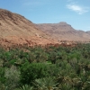 Marocco 2012-Valle del Todra