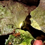 Cavità  sul  monte Fara