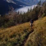 Sentiero per la cima del monte  Raut Sentiero per la cima del monte  Raut
