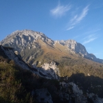 OLYMPUS DIGITAL CAMERA OLYMPUS DIGITAL CAMERA