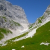 Lavinal_del_orso