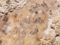 1_013_scritte