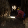 L\'elefante - Grotta Savi