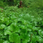 Taipana - un nuovo inghiottitoio Taipana - un nuovo inghiottitoio