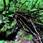 Platischis, inferno bagnato