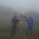 Nella nebbia