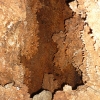 1489 VG - Concrezioni coralloidi