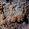 Grotta Virgilio - Cristalli di calcite