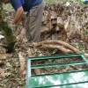 Costruzione botola - Grotta Virgilio