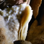 virgilio_concrezioni_02 virgilio_concrezioni_02